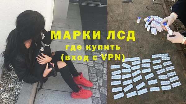 экстази Богданович