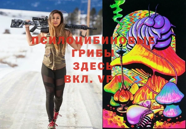 ешки Богородск