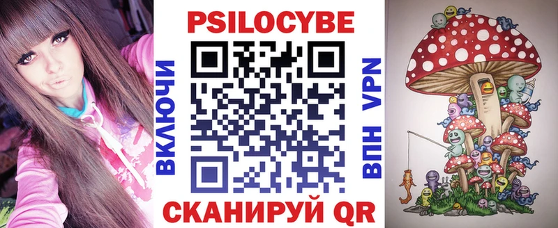 Псилоцибиновые грибы Psilocybe  Мезень 